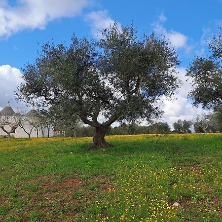 Trulli Carlo Anna Villa Locorotondo Luaran gambar