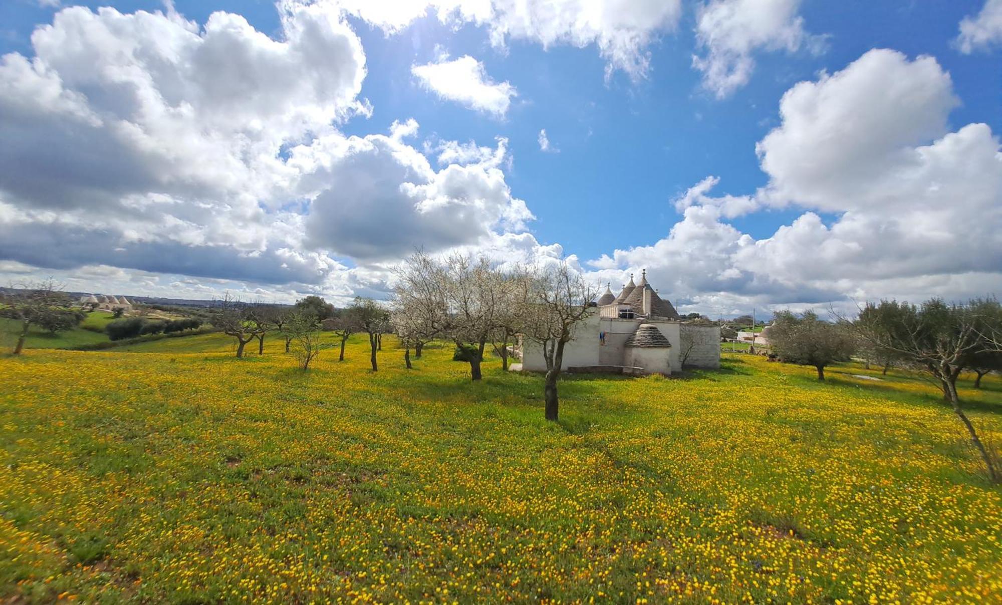 Trulli Carlo Anna Villa Locorotondo Luaran gambar