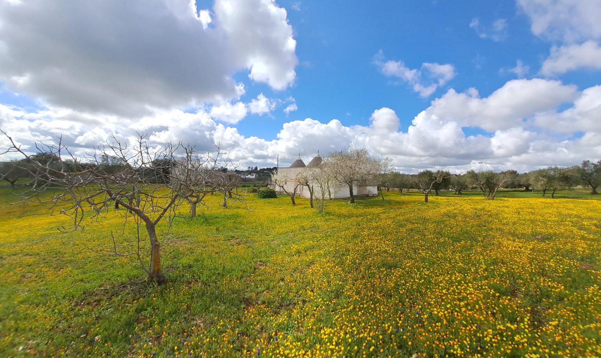 Trulli Carlo Anna Villa Locorotondo Luaran gambar